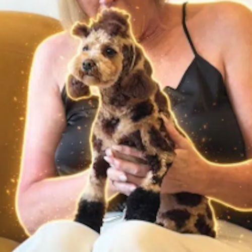giraffedog