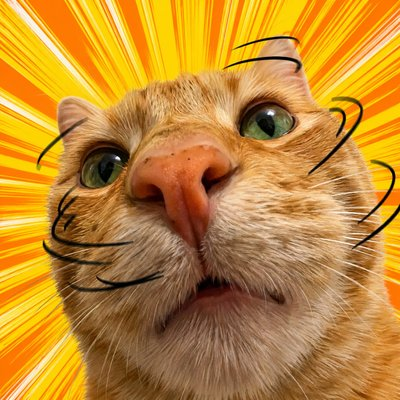 Nocat logo