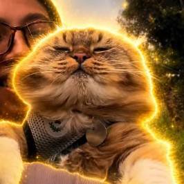 Puss