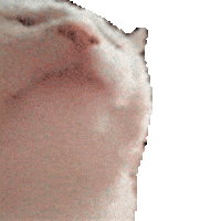 CatJAM