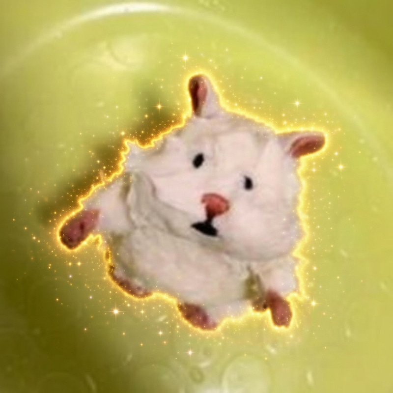 Kimuchi