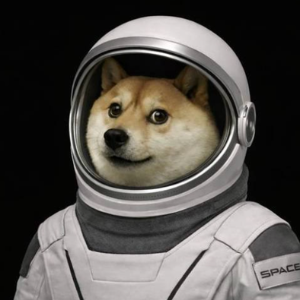 moondoge