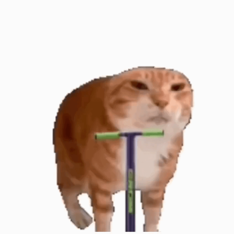 pogocat logo