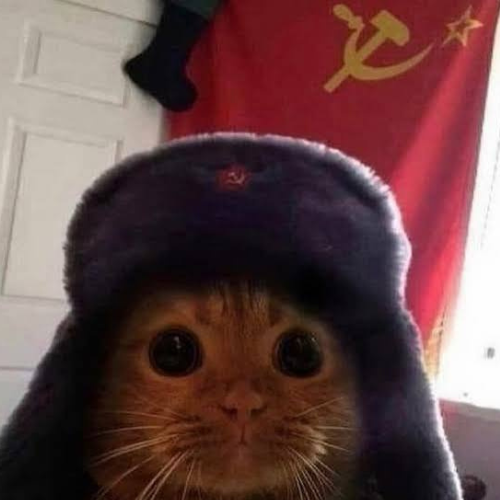 Sovicat