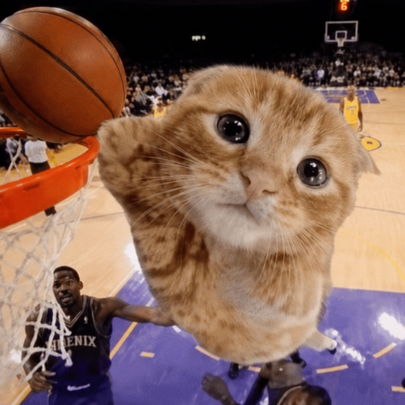 ballcat logo