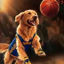 BUDDY