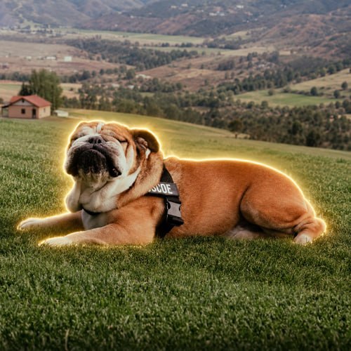 Roscoe