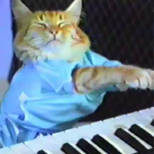 KEYCAT logo