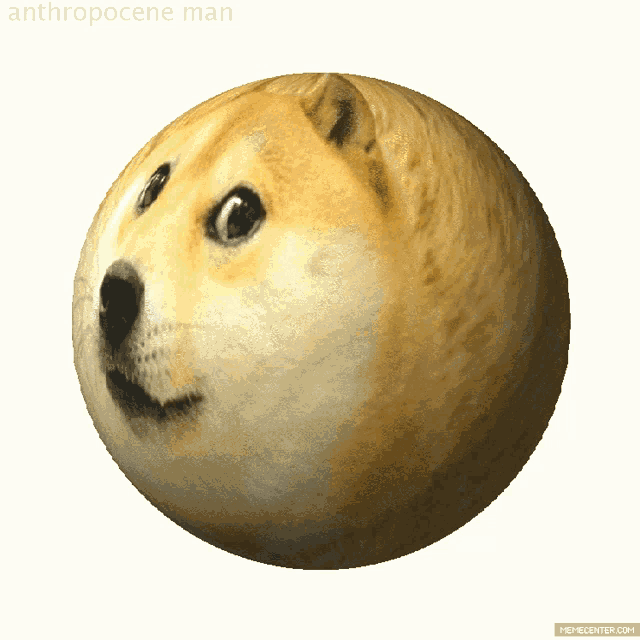 Dogeball 