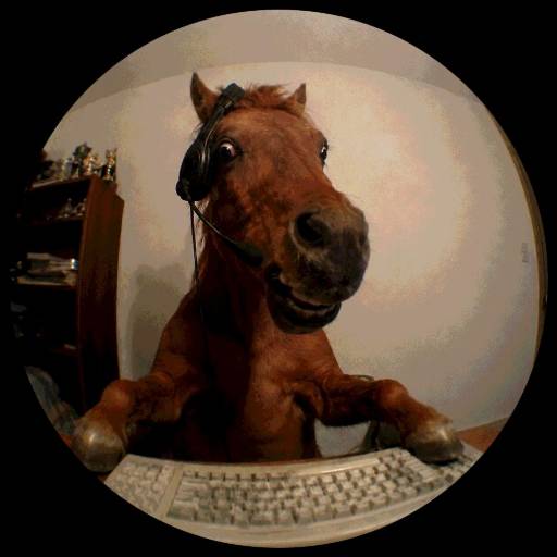 WORKHORSE