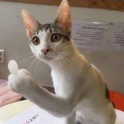 flipcat