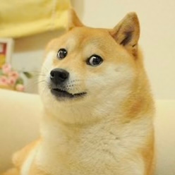 kabosu