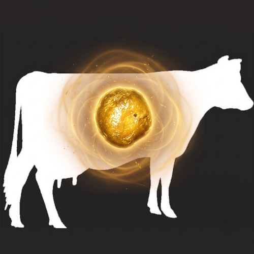 Gallstones logo