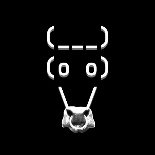 BULLS