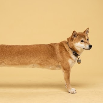 looooong