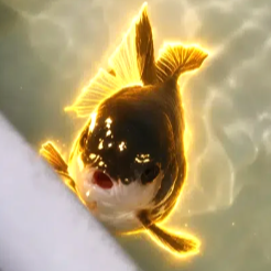 Orca