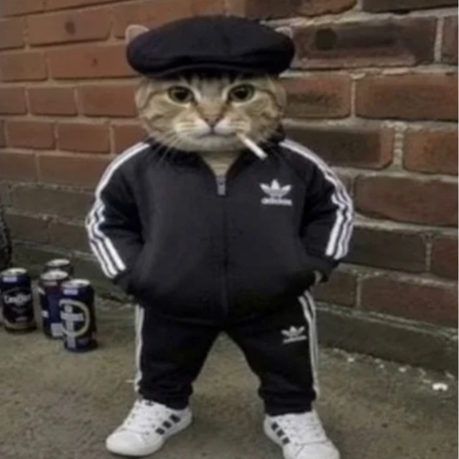 mate