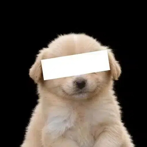 ████