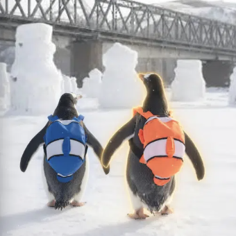 Bagguins