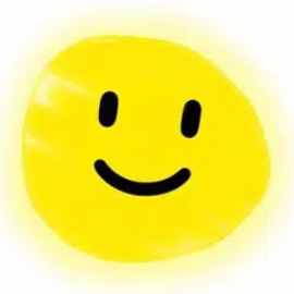 Happiness
