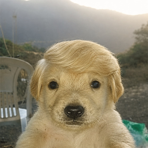 JotchuaTrump