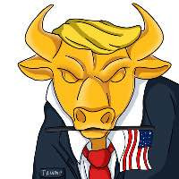 BULL