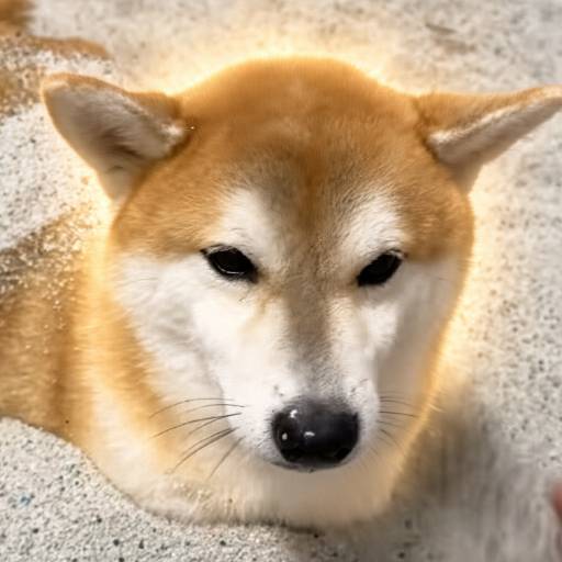 DoleDole