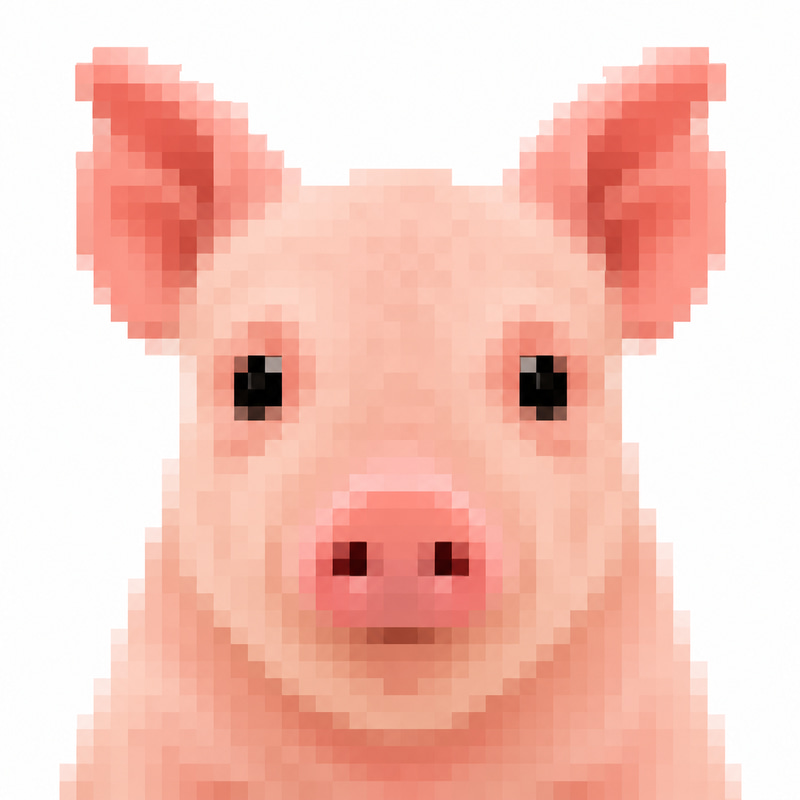 JPEG logo