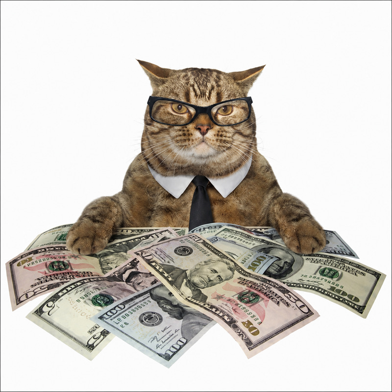 richcat