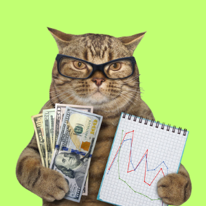 QUANTCAT