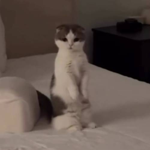 Ben