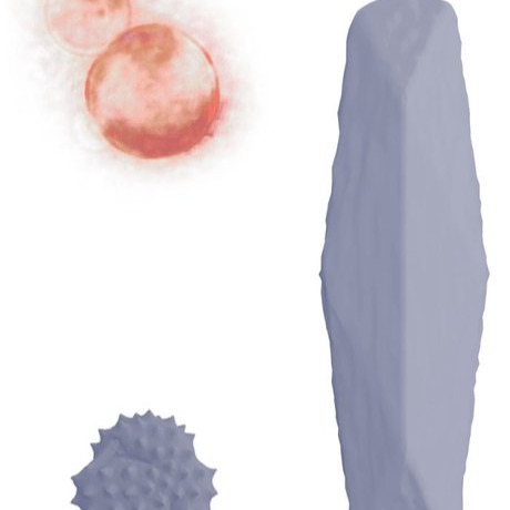 SpudCell