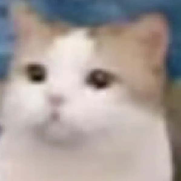 144p