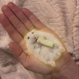 ホイップ