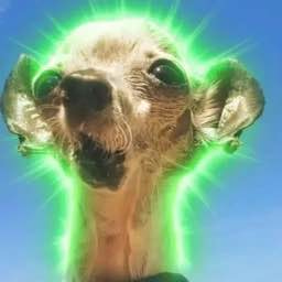 Pepe
