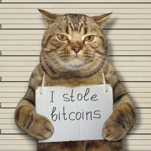 cryptocat