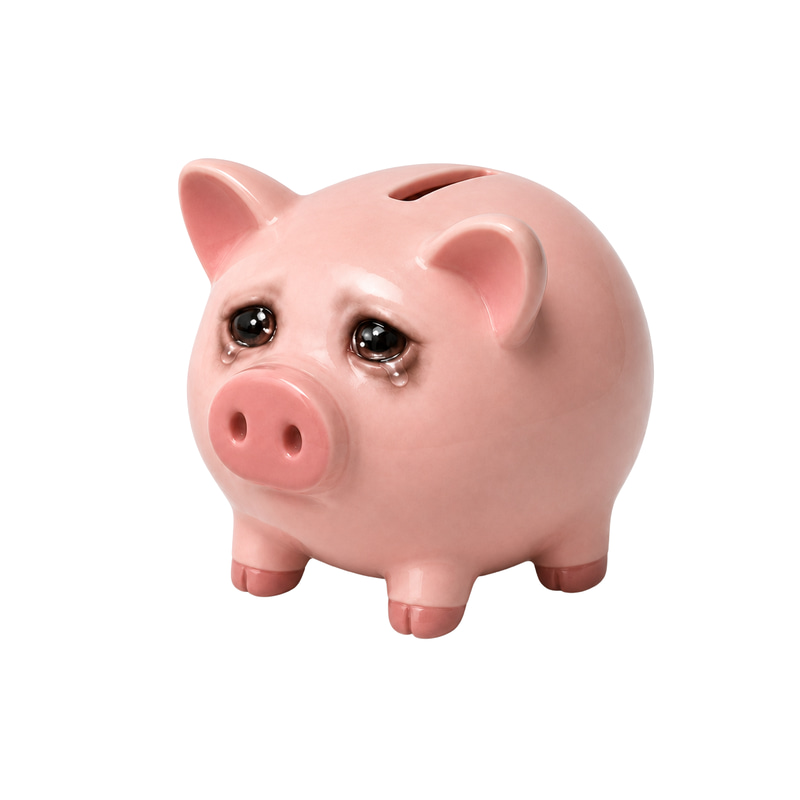 CASHPIGGY