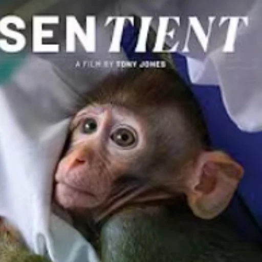 Sentient