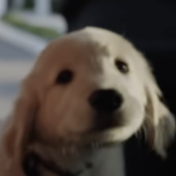 Frankie