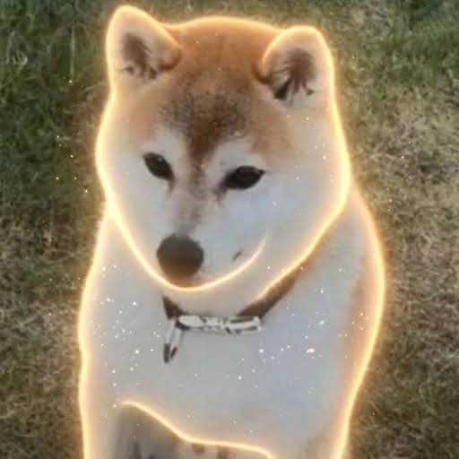 こはる