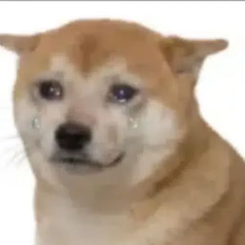 RAPEDOG