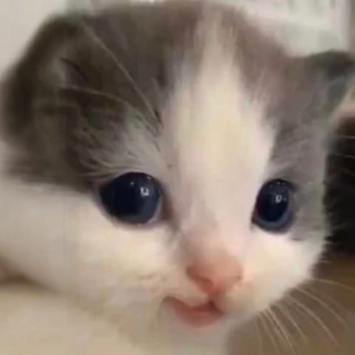 hehe
