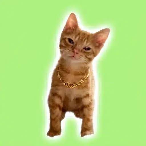 SIMBA