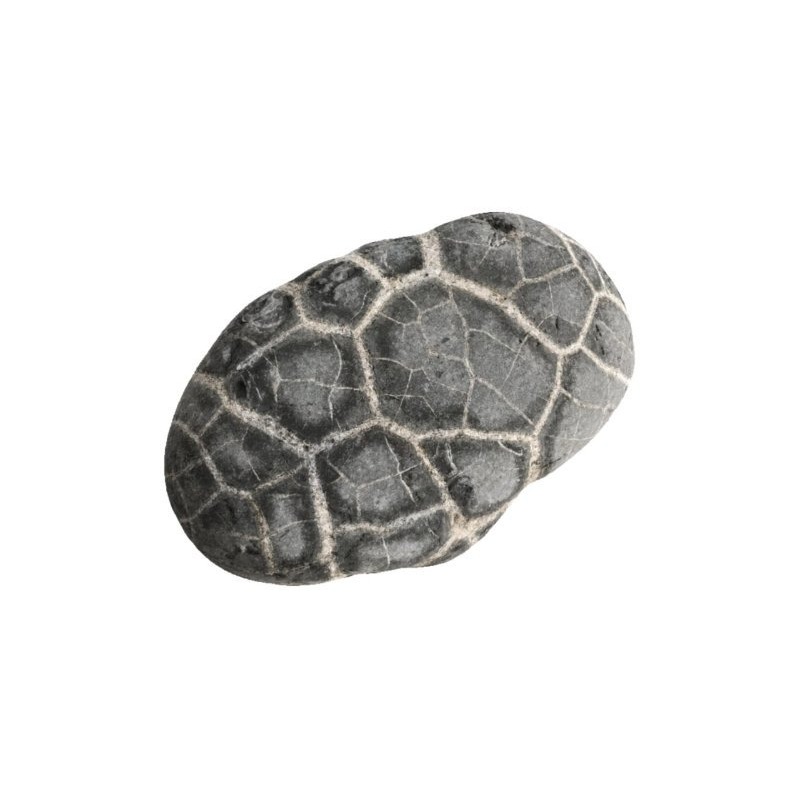 ROCK
