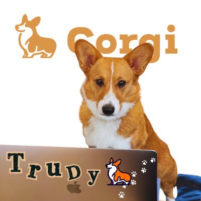 Trudy