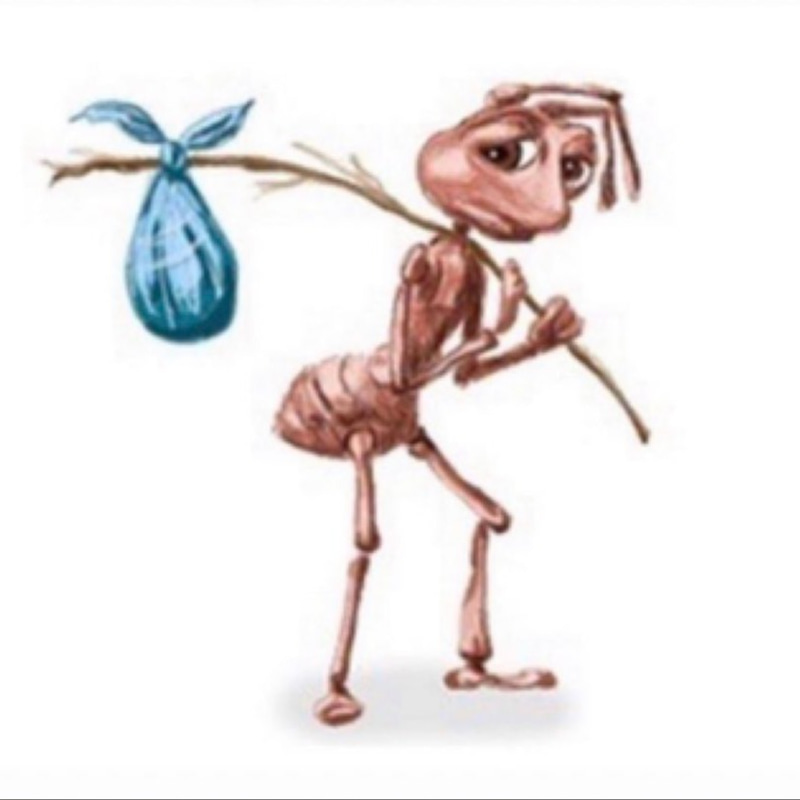 ANT logo
