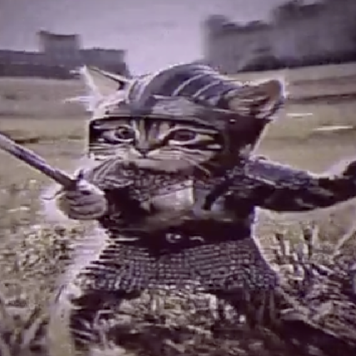 trenchcats