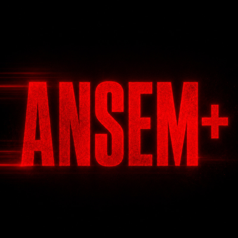ANSEM+