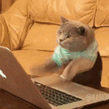 clickcat