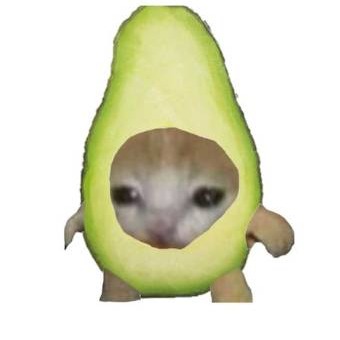 avocadocat logo